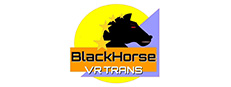 BlackHorse VR Trans Logo
